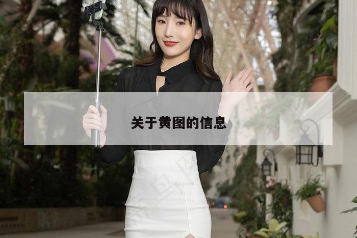 关于黄图的信息