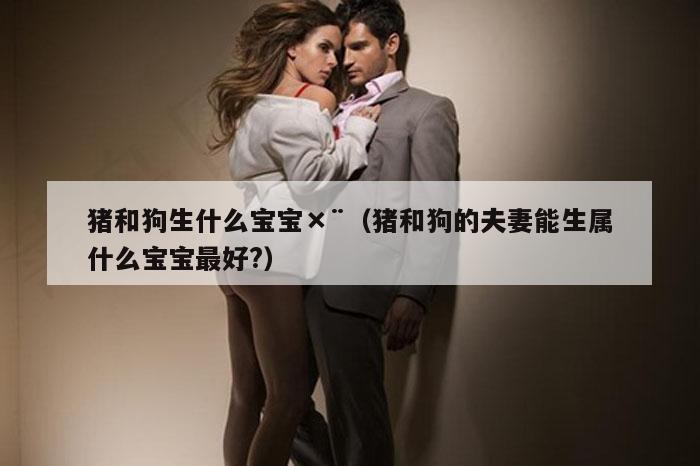 猪和狗生什么宝宝×¨（猪和狗的夫妻能生属什么宝宝最好?）