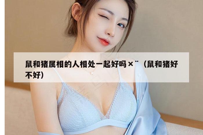 鼠和猪属相的人相处一起好吗×¨（鼠和猪好不好）